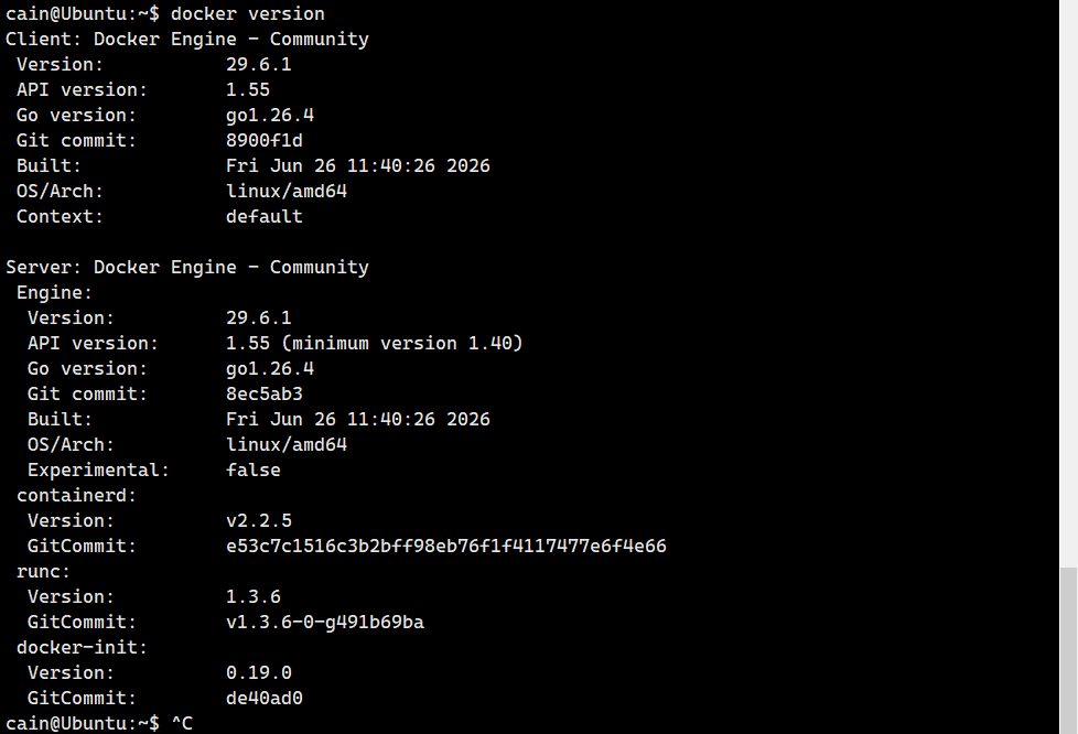 verify Docker status